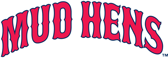 Toledo Mud Hens 19-2005 Wordmark Logo iron on transfers for clothing